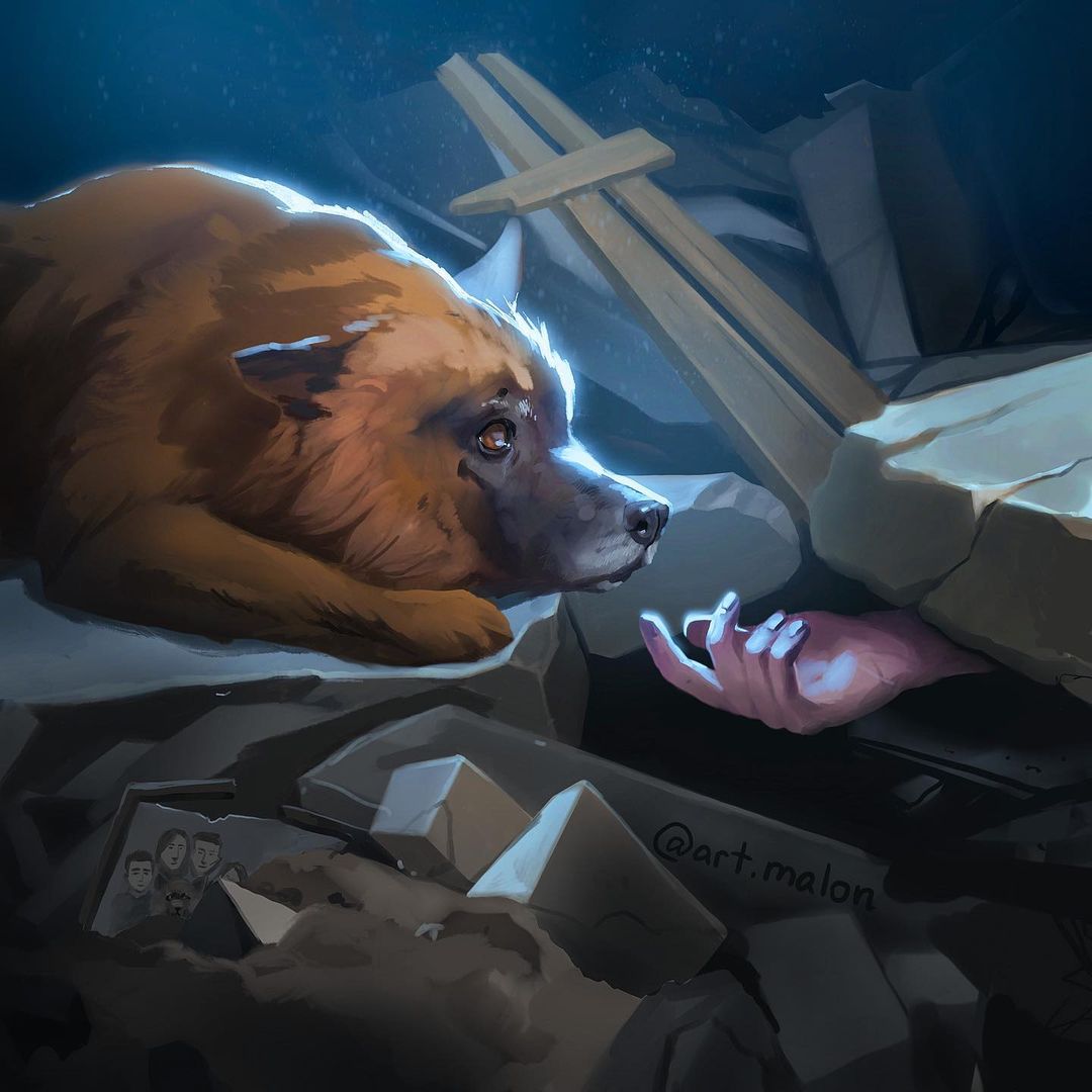 A dog cried on the ruins of a house in Dnipro where its owners were killed